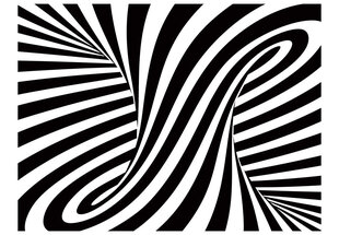 Valokuvatapetti - optical art: black and white 400x309 cm hinta ja tiedot | Valokuvatapetit | hobbyhall.fi