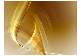 Valokuvatapetti - Gold fractal background 350x270 cm hinta ja tiedot | Valokuvatapetit | hobbyhall.fi