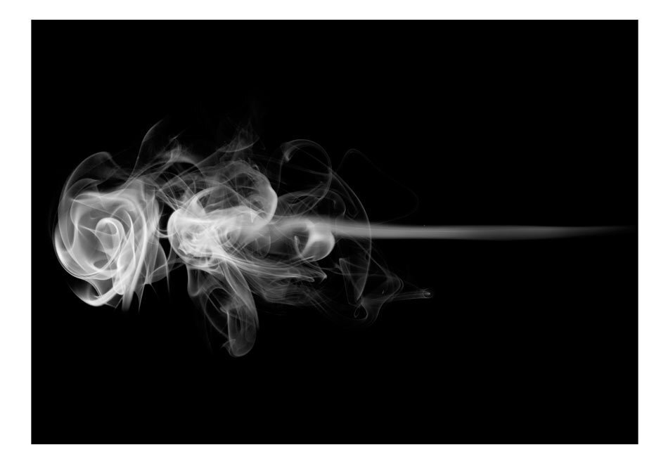 Valokuvatapetti - rose (smoke) 300x231 cm hinta ja tiedot | Valokuvatapetit | hobbyhall.fi