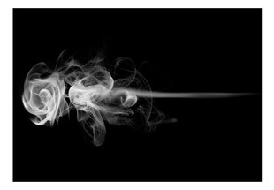 Valokuvatapetti - rose (smoke) 350x270 cm hinta ja tiedot | Valokuvatapetit | hobbyhall.fi