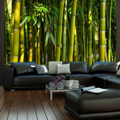 Valokuvatapetti - Asian Bamboo Forest 300x231 cm hinta ja tiedot | Valokuvatapetit | hobbyhall.fi