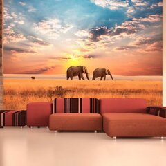 Valokuvatapetti - Afrikkalainen savanni norsuja 250x193 cm hinta ja tiedot | Valokuvatapetit | hobbyhall.fi