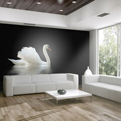 Valokuvatapetti - swan (black and white) 350x270 cm hinta ja tiedot | Valokuvatapetit | hobbyhall.fi
