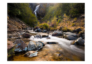 Valokuvatapetti - Ohakune - Waterfalls in New Zealand 450x270 cm hinta ja tiedot | Valokuvatapetit | hobbyhall.fi