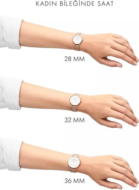 Daniel Wellington naisten kello dw00100246 - Petite Ashfield 28mm (zw501e) hinta ja tiedot | Naisten kellot | hobbyhall.fi