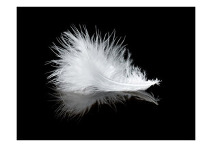 Valokuvatapetti - White feather 200x154 cm hinta ja tiedot | Valokuvatapetit | hobbyhall.fi