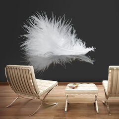 Valokuvatapetti - White feather 200x154 cm hinta ja tiedot | Valokuvatapetit | hobbyhall.fi