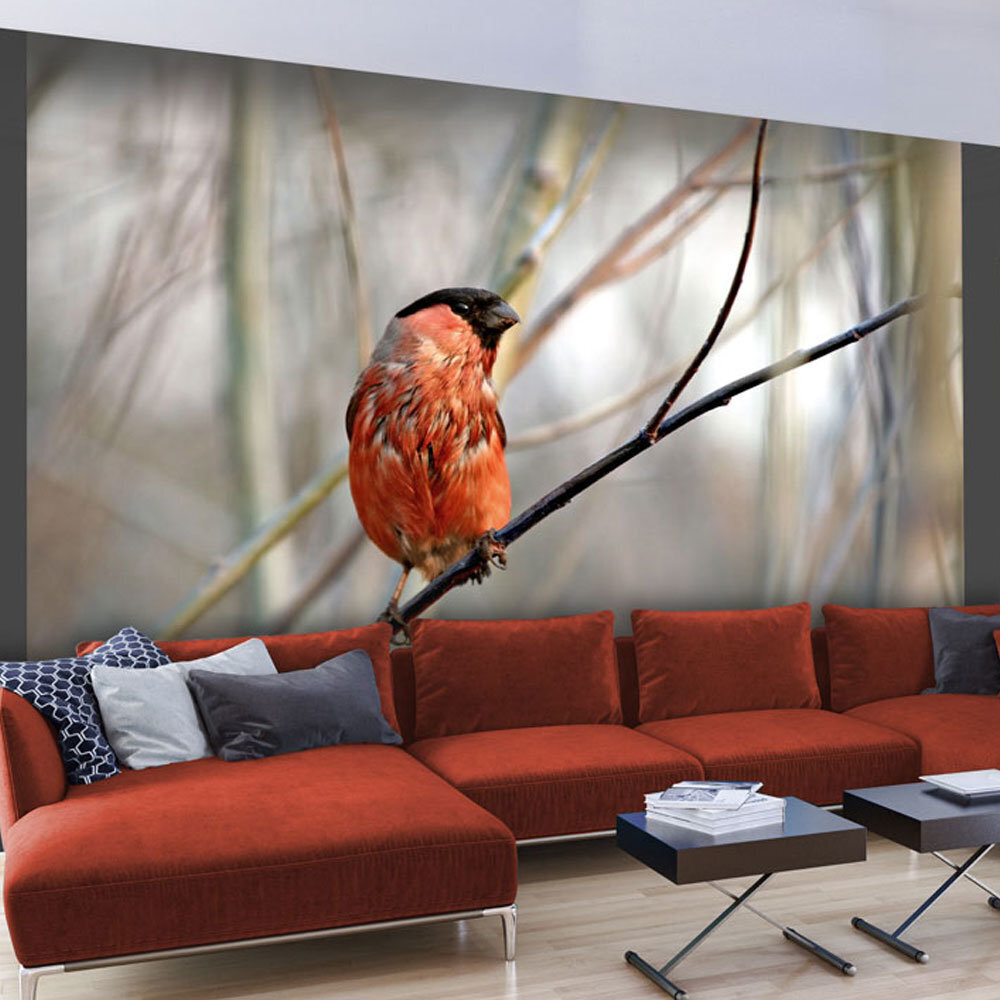 Valokuvatapetti - Bullfinch in the forest 400x309 cm hinta ja tiedot | Valokuvatapetit | hobbyhall.fi