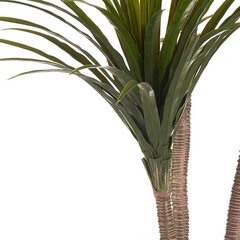 Keinotekoinen palmu hinta ja tiedot | Keinotekoiset kukat | hobbyhall.fi