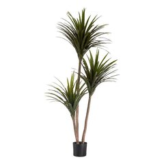 Keinotekoinen palmu hinta ja tiedot | Keinotekoiset kukat | hobbyhall.fi