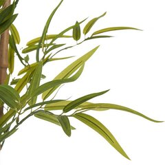 Koristekasvi Bambu hinta ja tiedot | Keinotekoiset kukat | hobbyhall.fi