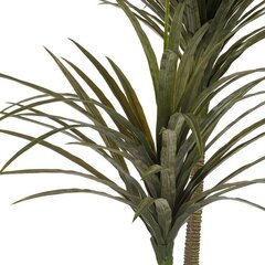 Koristekasvi Palmu hinta ja tiedot | Keinotekoiset kukat | hobbyhall.fi