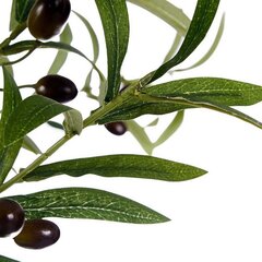 Koristeellinen oliivipuu hinta ja tiedot | Keinotekoiset kukat | hobbyhall.fi