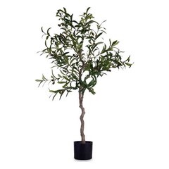 Koristeellinen oliivipuu hinta ja tiedot | Keinotekoiset kukat | hobbyhall.fi