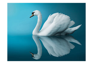 Valokuvatapetti - swan - reflection 200x154 cm hinta ja tiedot | Valokuvatapetit | hobbyhall.fi