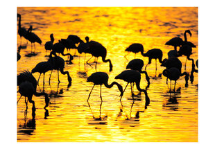 Valokuvatapetti - Kenia: flamingoja järven Nakuru 300x231 cm hinta ja tiedot | Valokuvatapetit | hobbyhall.fi