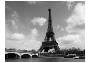 Valokuvatapetti - Seine and Eiffel Tower 350x270 cm hinta ja tiedot | Valokuvatapetit | hobbyhall.fi