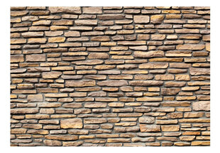 Valokuvatapetti - Imitation - stone 400x309 cm hinta ja tiedot | Valokuvatapetit | hobbyhall.fi