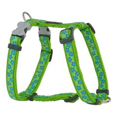 Koiran valjaat Red Dingo Style, vihreä, 37-61 cm hinta ja tiedot | Koiran matkatarvikkeet | hobbyhall.fi