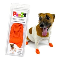 Pawz kengät koirille, XS, 12 kpl, oranssi hinta ja tiedot | Eläinten hoitotuotteet | hobbyhall.fi
