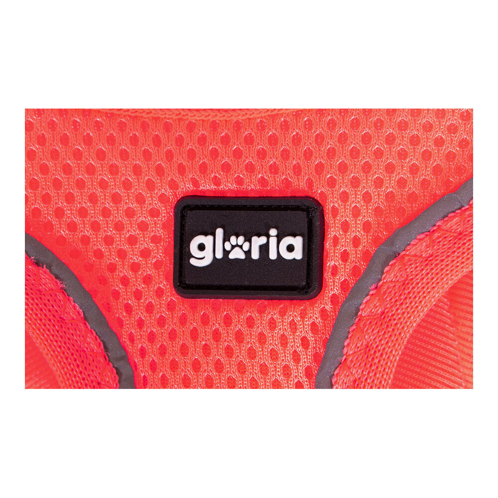 Gloria Air Mesh Star koiranvaljaat, pinkki, 24-26 cm hinta ja tiedot | Koiran valjaat ja kaulapannat | hobbyhall.fi