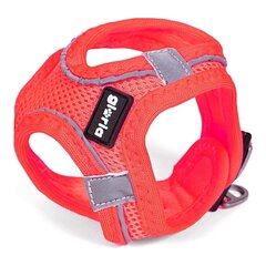 Gloria Air Mesh Trek Star -valjaat koirille, pinkki hinta ja tiedot | Koiran valjaat ja kaulapannat | hobbyhall.fi