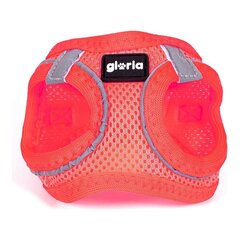 Gloria Air Mesh Trek Star -valjaat koirille, pinkki hinta ja tiedot | Koiran valjaat ja kaulapannat | hobbyhall.fi