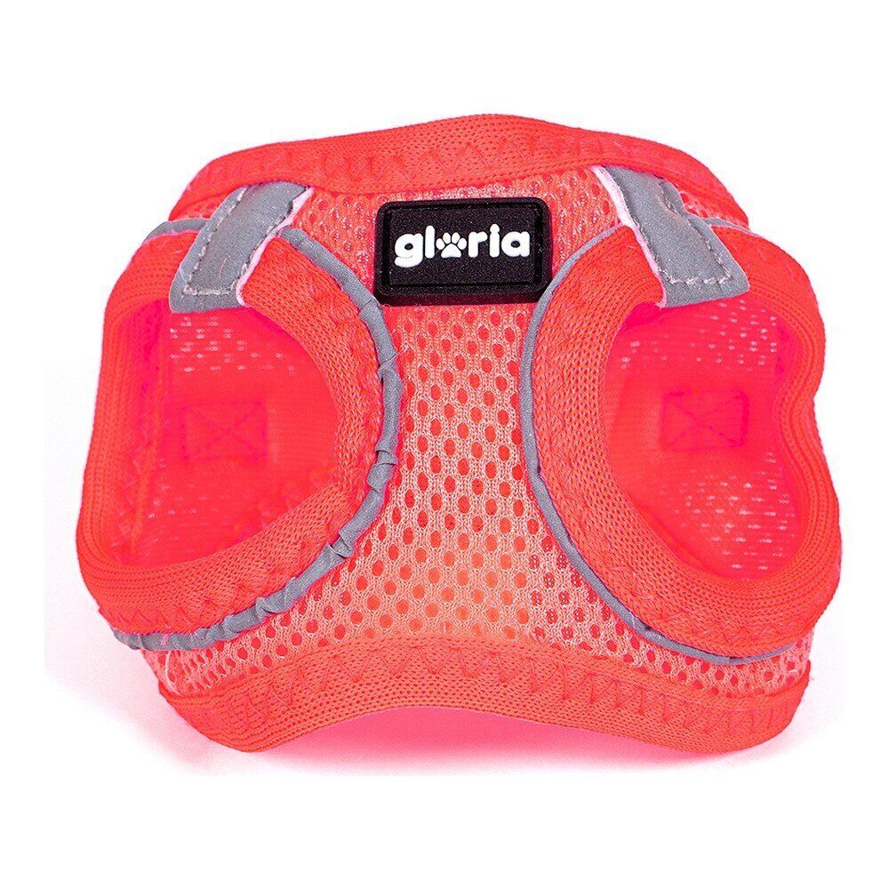 Gloria Air Mesh Trek Star -valjaat koirille, pinkki hinta ja tiedot | Koiran valjaat ja kaulapannat | hobbyhall.fi