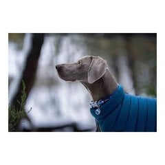 TicWatch Puffer koiran takki, sininen, 50 cm hinta ja tiedot | Koiran vaatteet | hobbyhall.fi