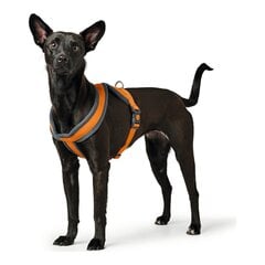 Hunter London Comfort -valjaat koirille, oranssi hinta ja tiedot | Koiran valjaat ja kaulapannat | hobbyhall.fi