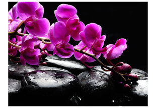 Valokuvatapetti - Rentouttava hetki: orkidea kukka ja kivet 450x270 cm hinta ja tiedot | Valokuvatapetit | hobbyhall.fi