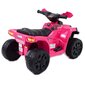 Super Toys Quad Great N116 akkukäyttöinen lasten mönkijä, vaaleanpunainen hinta ja tiedot | Lasten sähköautot | hobbyhall.fi