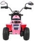 Yksipaikkainen lasten sähkömoottoripyörä MiniBike, pinkki hinta ja tiedot | Lasten sähköautot | hobbyhall.fi