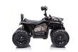 Quad quad madman js009, musta hinta ja tiedot | Lasten sähköautot | hobbyhall.fi