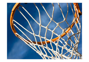 Valokuvatapetti - sport - basketball 400x309 cm hinta ja tiedot | Valokuvatapetit | hobbyhall.fi