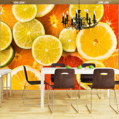 Valokuvatapetti - Citrus fruits 400x309 cm hinta ja tiedot | Valokuvatapetit | hobbyhall.fi