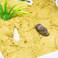 RMS JW World Dino Kinetic Sand 93-0056 hinta ja tiedot | Kehittävät lelut | hobbyhall.fi