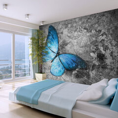 Valokuvatapetti - Blue butterfly 400x309 cm hinta ja tiedot | Valokuvatapetit | hobbyhall.fi