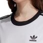 Naisten T-paita Adidas 3-Stripes Tee ED7483, valkoinen hinta ja tiedot | Naisten T-paidat | hobbyhall.fi