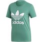 Naisten urheilullinen t-paita Adidas Trefoil Tee W FM3300, vihreä hinta ja tiedot | Naisten urheiluvaatteet | hobbyhall.fi