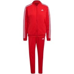 Urheiluvaatteet adidas performance w 3s tr ts h10157 hinta ja tiedot | Naisten urheiluvaatteet | hobbyhall.fi