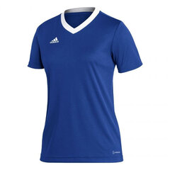 Naisten urheilullinen t-paita Adidas Entrada 22 Jsy, sininen hinta ja tiedot | Naisten urheiluvaatteet | hobbyhall.fi