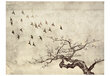 Valokuvatapetti - Flock of birds 400x309 cm hinta ja tiedot | Valokuvatapetit | hobbyhall.fi