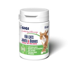 Gigi lisäravinne kissoille tabletteina Joints & Bones, 60 kpl hinta ja tiedot | Kissan terveys ja hyvinvointi | hobbyhall.fi