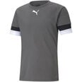 Puma T-Paita TeamRise Jersey Grey 704932 13