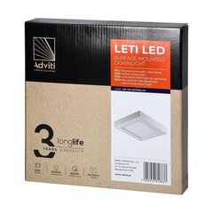 LED-alasvalo pinta-asennettava valaisin LETI 24W 4000K neliö hinta ja tiedot | Kattovalaisimet | hobbyhall.fi