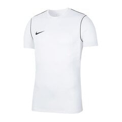 Park 20 tee nike tyttö white bv6905100 hinta ja tiedot | Poikien paidat | hobbyhall.fi