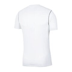 Park 20 tee nike tyttö white bv6905100 hinta ja tiedot | Poikien paidat | hobbyhall.fi