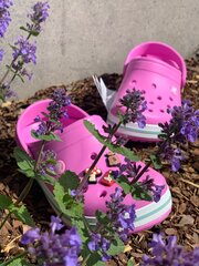 Crocs™ Crocband Clog Kid's hinta ja tiedot | Lasten pistokkaat | hobbyhall.fi