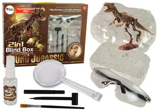 Arkeologinen kaivaussarja - dinosauruksen luuranko hinta ja tiedot | Kehittävät lelut | hobbyhall.fi